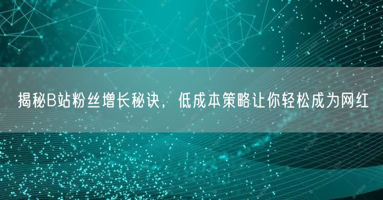 揭秘B站粉丝增长秘诀，低成本策略让你轻松成为网红