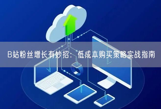 B站粉丝增长有妙招：低成本购买策略实战指南
