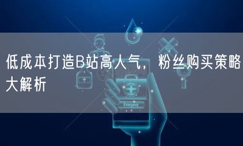 低成本打造B站高人气，粉丝购买策略大解析