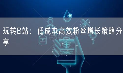 玩转B站：低成本高效粉丝增长策略分享