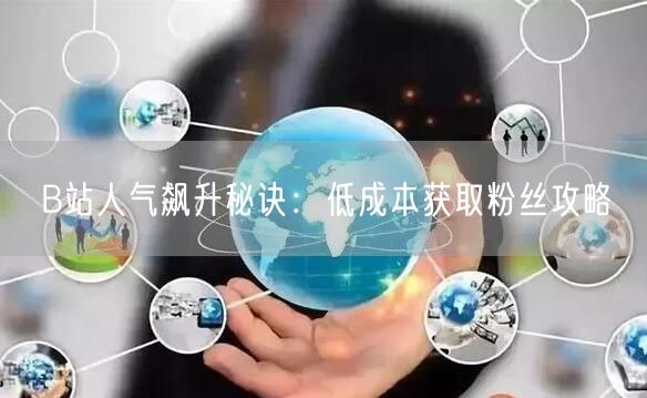 B站人气飙升秘诀：低成本获取粉丝攻略