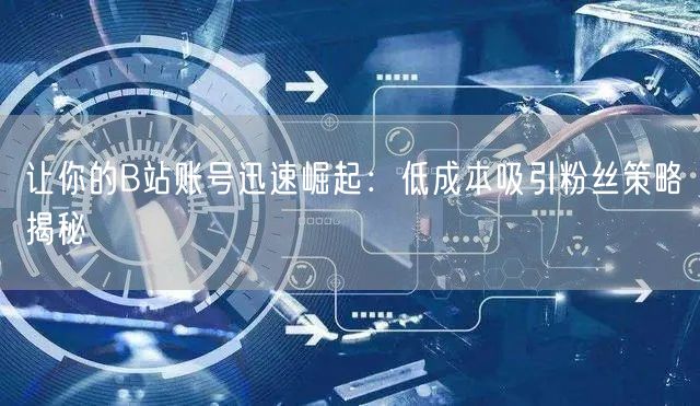 让你的B站账号迅速崛起：低成本吸引粉丝策略揭秘