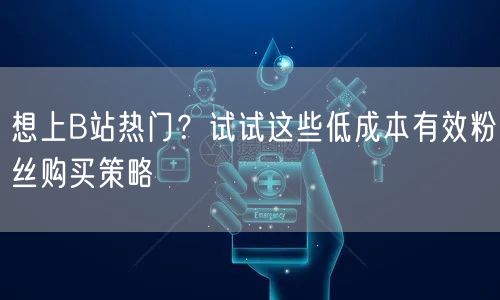 想上B站热门？试试这些低成本有效粉丝购买策略