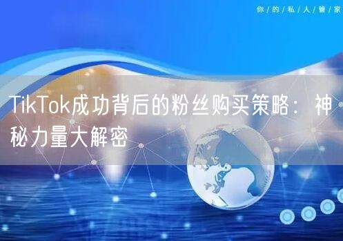 TikTok成功背后的粉丝购买策略：神秘力量大解密