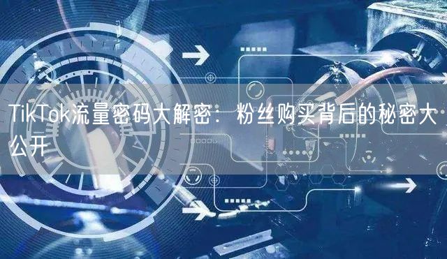 TikTok流量密码大解密：粉丝购买背后的秘密大公开