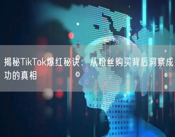 揭秘TikTok爆红秘诀：从粉丝购买背后洞察成功的真相
