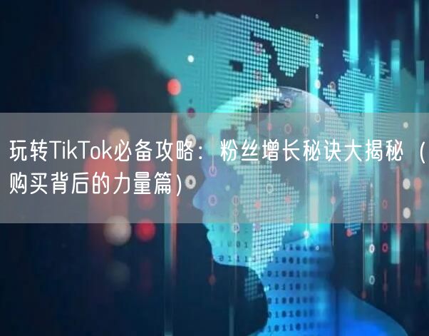 玩转TikTok必备攻略：粉丝增长秘诀大揭秘（购买背后的力量篇）