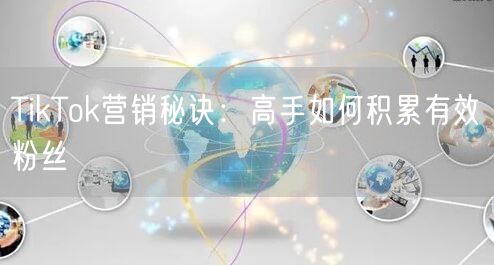 TikTok营销秘诀：高手如何积累有效粉丝