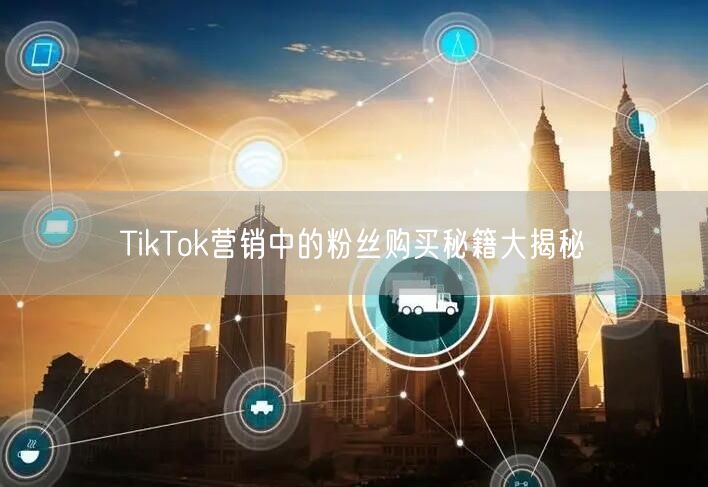 TikTok营销中的粉丝购买秘籍大揭秘