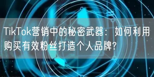 TikTok营销中的秘密武器：如何利用购买有效粉丝打造个人品牌?
