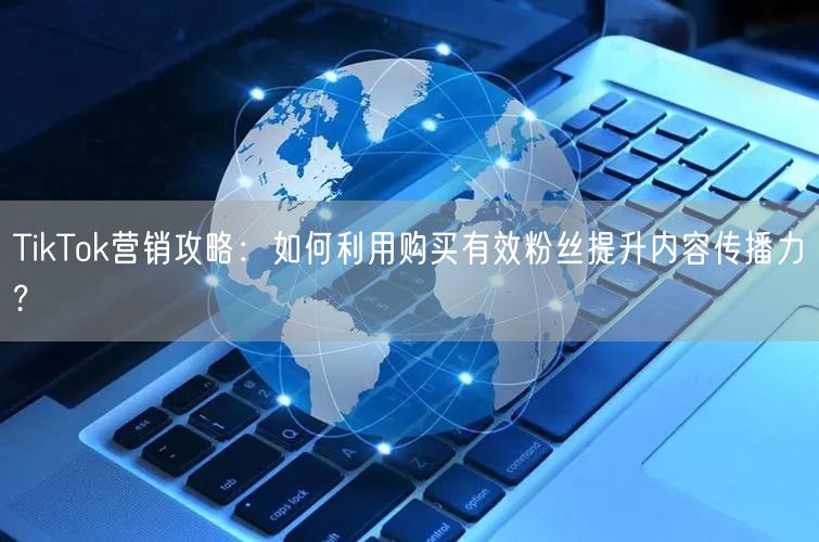 TikTok营销攻略：如何利用购买有效粉丝提升内容传播力?