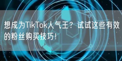 想成为TikTok人气王？试试这些有效的粉丝购买技巧！