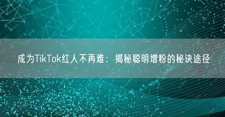 成为TikTok红人不再难：揭秘聪明增粉的秘诀途径