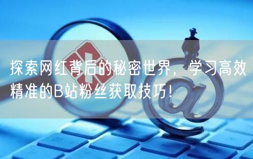 探索网红背后的秘密世界，学习高效精准的B站粉丝获取技巧！
