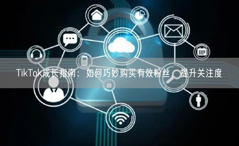 TikTok成长指南：如何巧妙购买有效粉丝，提升关注度