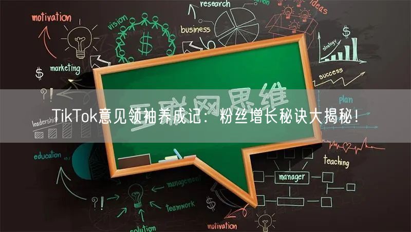 TikTok意见领袖养成记：粉丝增长秘诀大揭秘！