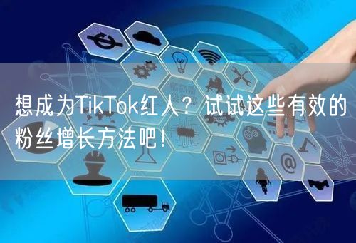 想成为TikTok红人？试试这些有效的粉丝增长方法吧！