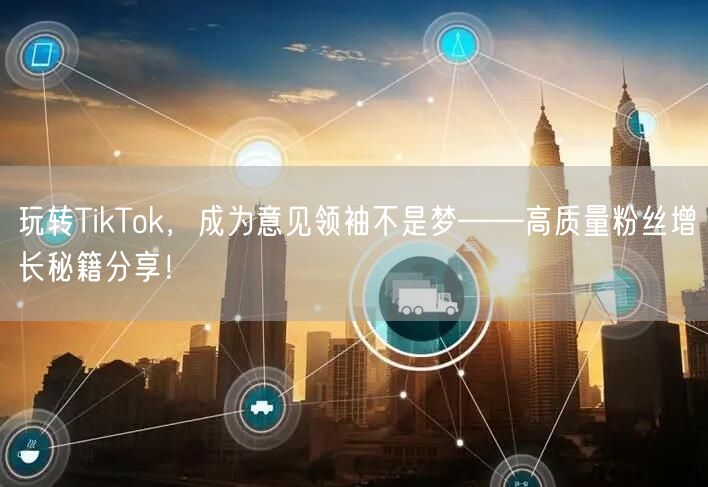 玩转TikTok，成为意见领袖不是梦——高质量粉丝增长秘籍分享！
