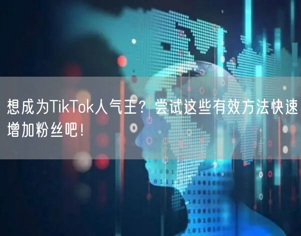 想成为TikTok人气王？尝试这些有效方法快速增加粉丝吧！