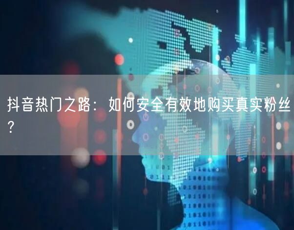 抖音热门之路：如何安全有效地购买真实粉丝？