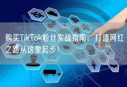 购买TikTok粉丝实战指南：打造网红之路从这里起步！