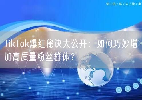 TikTok爆红秘诀大公开：如何巧妙增加高质量粉丝群体？