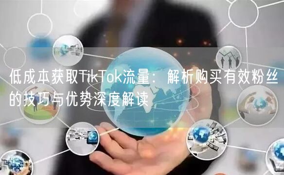 低成本获取TikTok流量：解析购买有效粉丝的技巧与优势深度解读