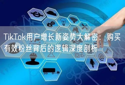 TikTok用户增长新姿势大解密：购买有效粉丝背后的逻辑深度剖析
