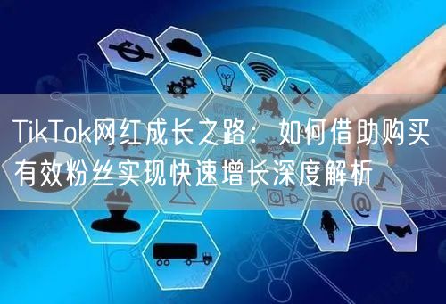 TikTok网红成长之路：如何借助购买有效粉丝实现快速增长深度解析