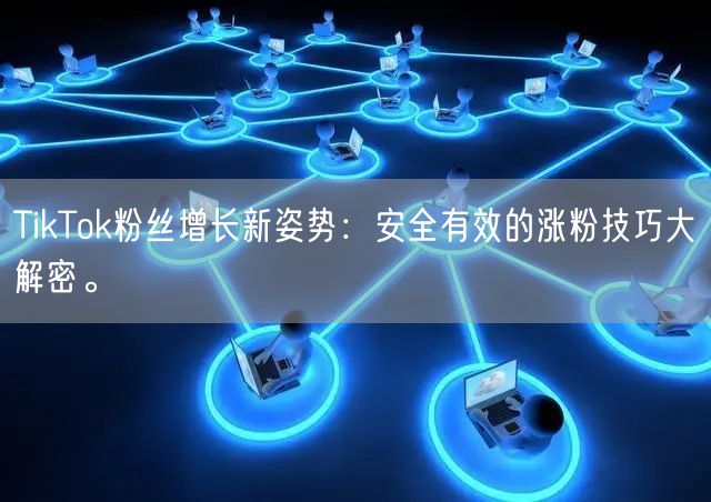 TikTok粉丝增长新姿势：安全有效的涨粉技巧大解密。