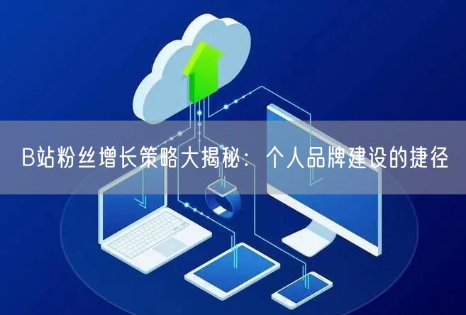 B站粉丝增长策略大揭秘：个人品牌建设的捷径