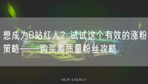 想成为B站红人？试试这个有效的涨粉策略——购买高质量粉丝攻略