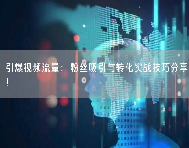 引爆视频流量：粉丝吸引与转化实战技巧分享！