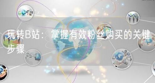 玩转B站：掌握有效粉丝购买的关键步骤