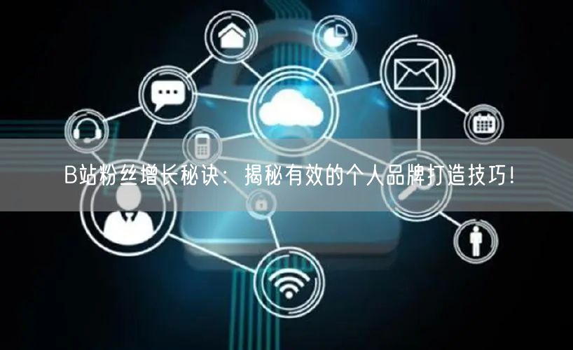 B站粉丝增长秘诀：揭秘有效的个人品牌打造技巧！