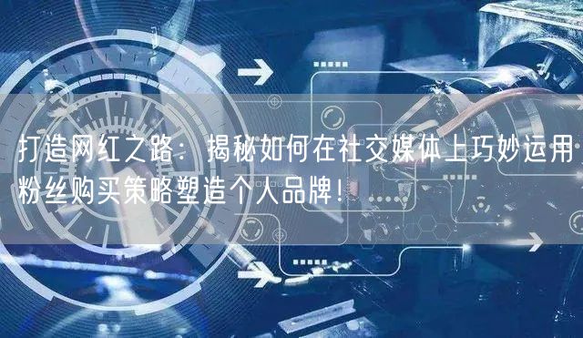打造网红之路：揭秘如何在社交媒体上巧妙运用粉丝购买策略塑造个人品牌！