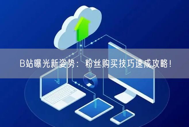 B站曝光新姿势：粉丝购买技巧速成攻略！