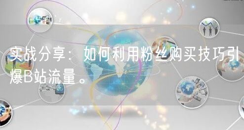 实战分享：如何利用粉丝购买技巧引爆B站流量。