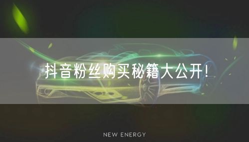 抖音粉丝购买秘籍大公开！
