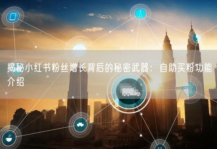 揭秘小红书粉丝增长背后的秘密武器：自助买粉功能介绍