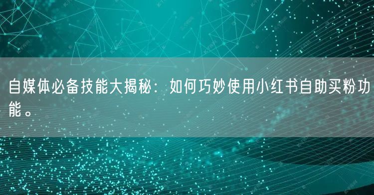 自媒体必备技能大揭秘：如何巧妙使用小红书自助买粉功能。