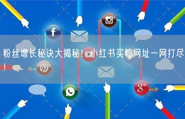 粉丝增长秘诀大揭秘！小红书买粉网址一网打尽！
