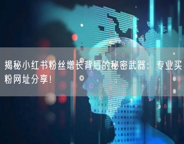 揭秘小红书粉丝增长背后的秘密武器：专业买粉网址分享！