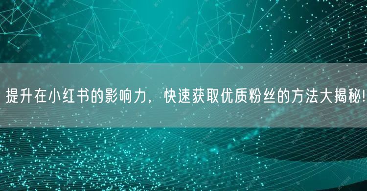 提升在小红书的影响力，快速获取优质粉丝的方法大揭秘!
