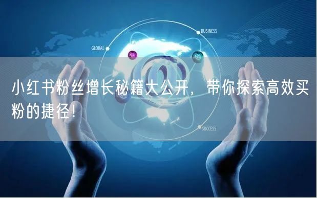 小红书粉丝增长秘籍大公开，带你探索高效买粉的捷径！